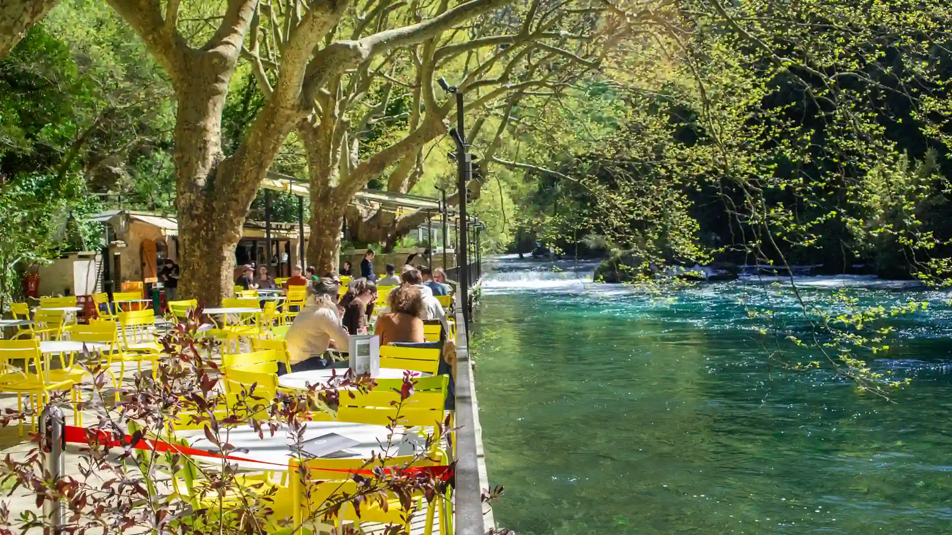 Terrasse panoramique du Restaurant Philip sous les platanes centenaires au bord de la Sorgue